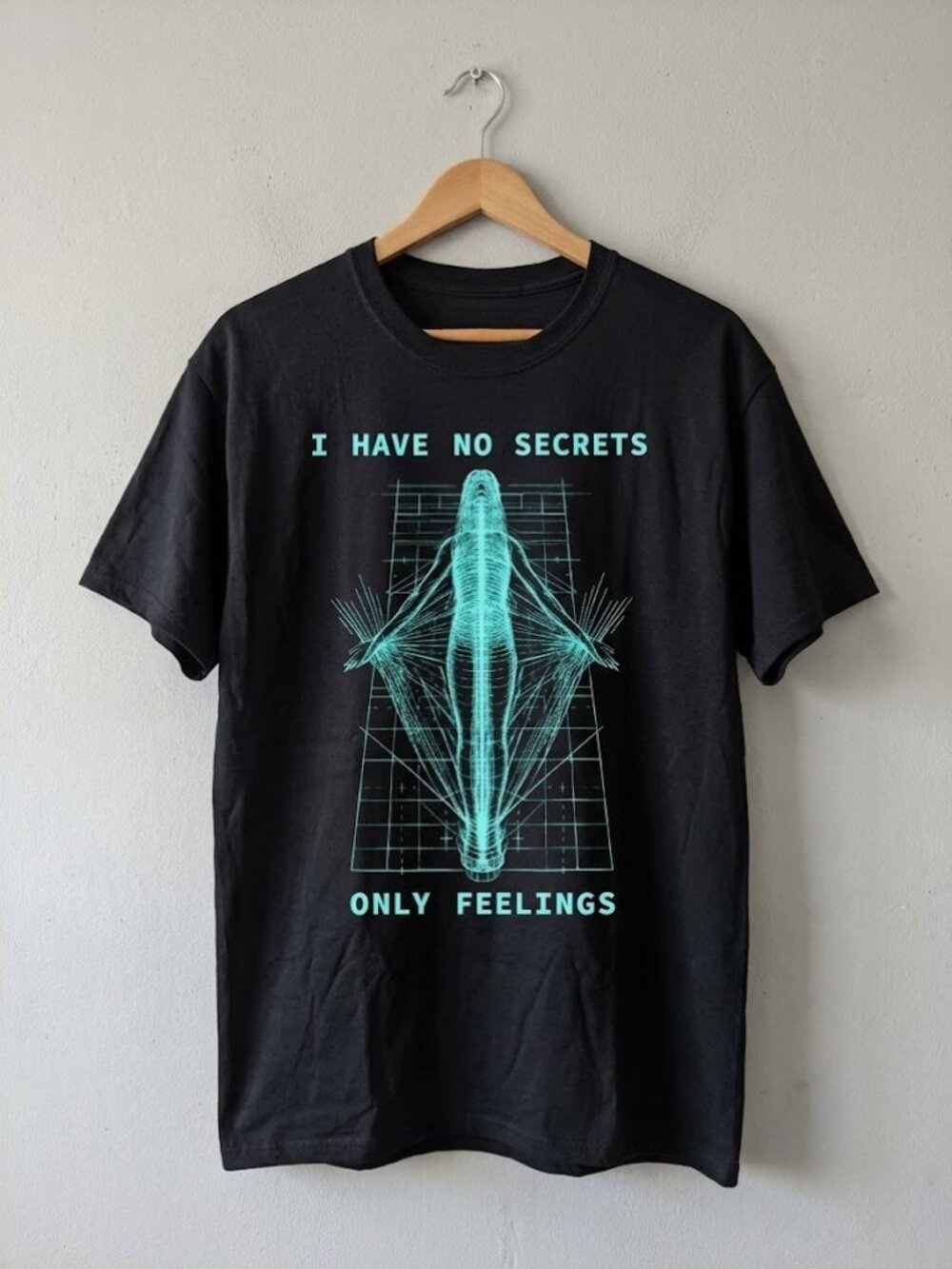 Phoebe Bridgers The Lost Tour 2026 I Have No Secrets Only Feelings Tee
